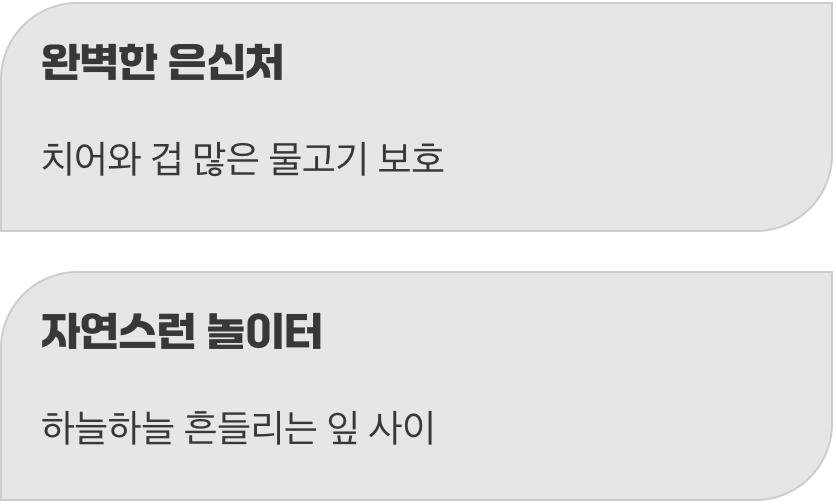 물고기들의 완벽한 놀이터이자 안식처