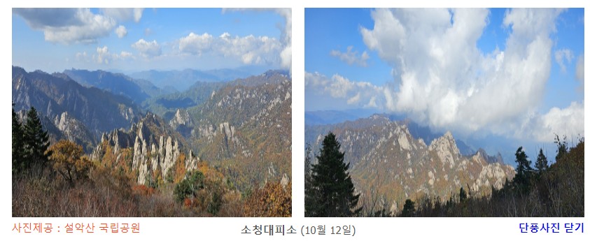 소청대피소