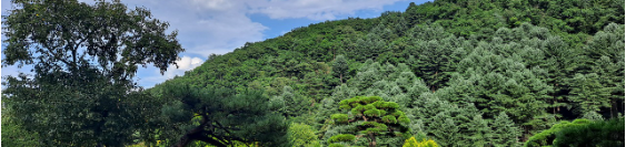 가평 가볼만한곳