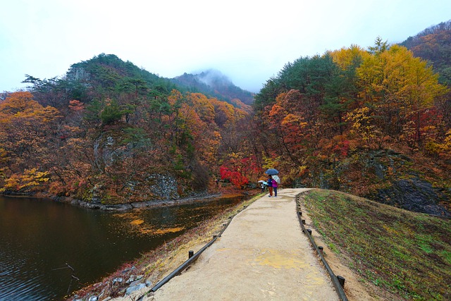 대전 국내 여행 관련 사진