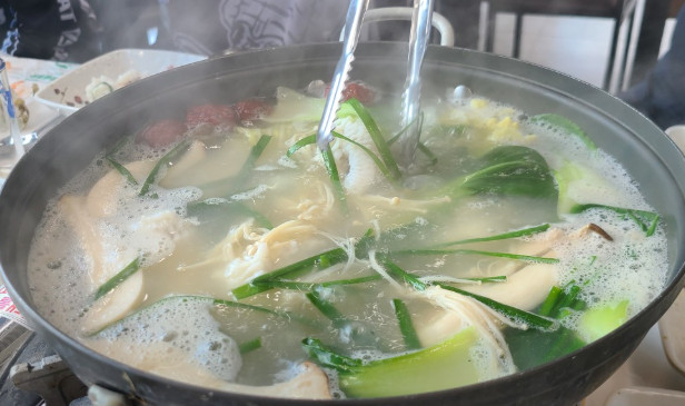 6시내고향 고성 갯장어요리(하모회) 맛집 