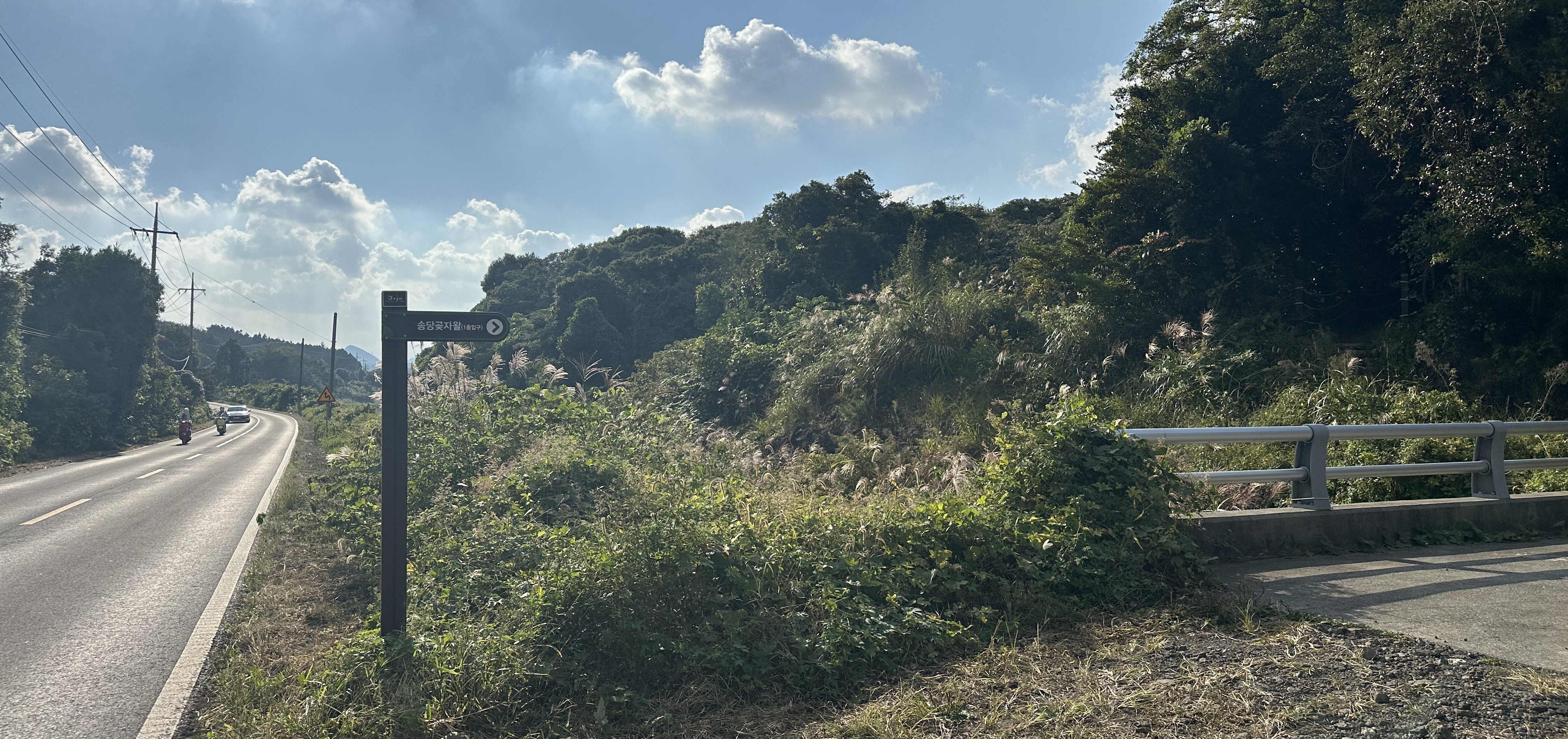 송당곶자왈 입구