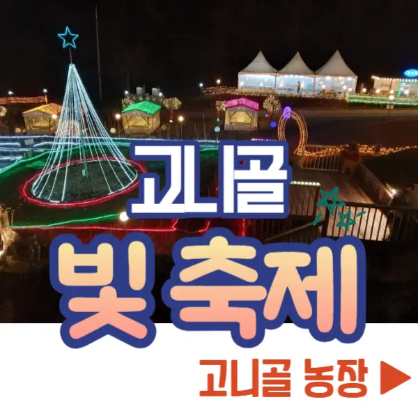 고니골 빛 축제 농장 체험