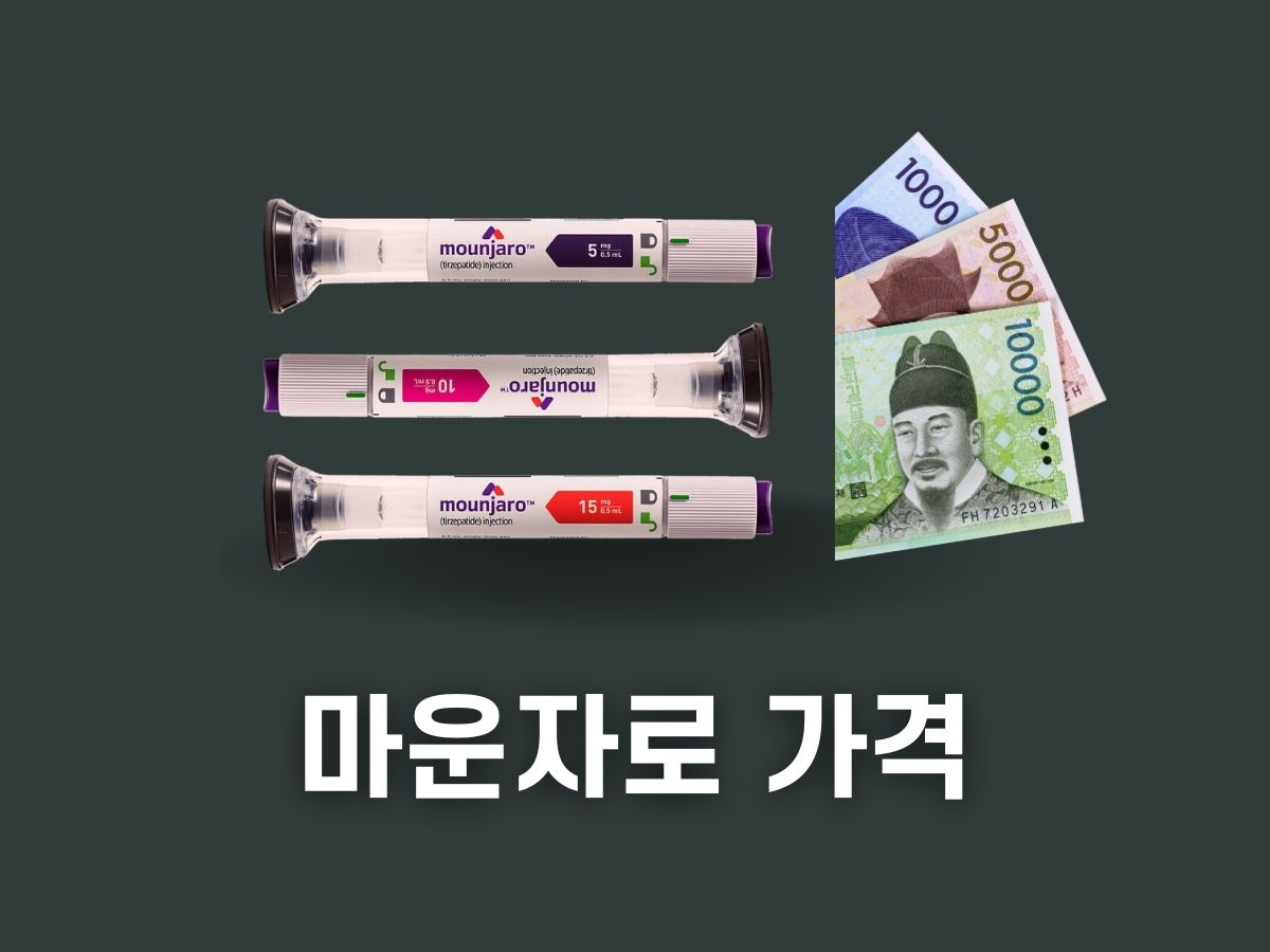 마운자로 가격