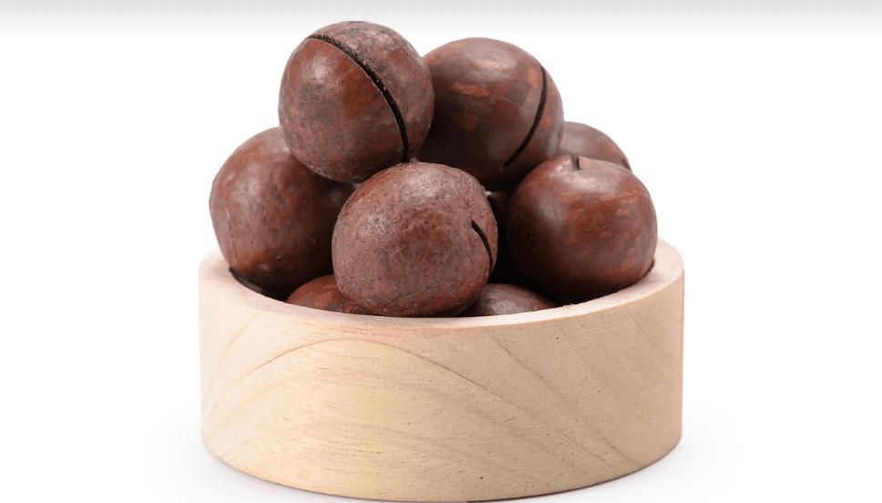 마카다미아 사진 - 5