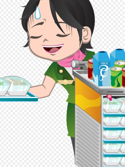 항공사 객실 승무원의 역할과 책임 관련 이미지