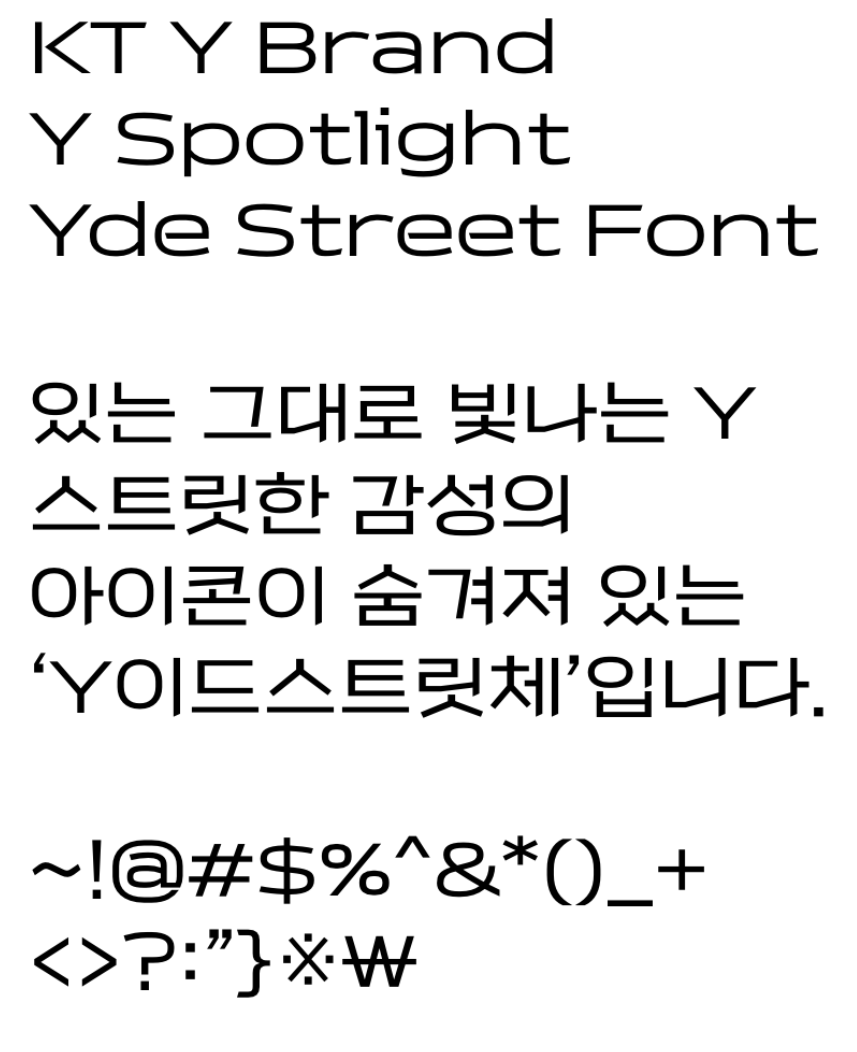 Y이드스트릿체R