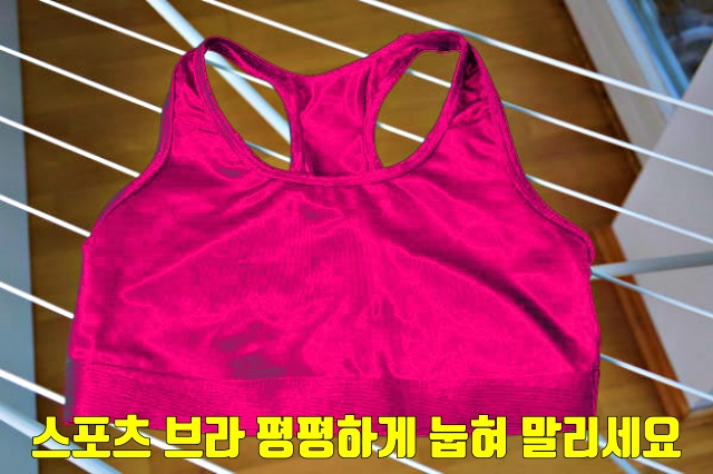 스포츠 브라 세탁 섬유유연제 건조기 절대 안되는 이유, 생활 팁줌 매일꿀정보