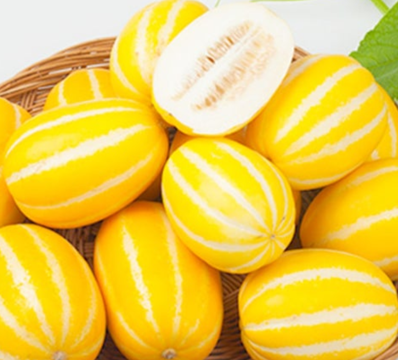 참외-효능-부작용-하루-섭취량-관련-사진