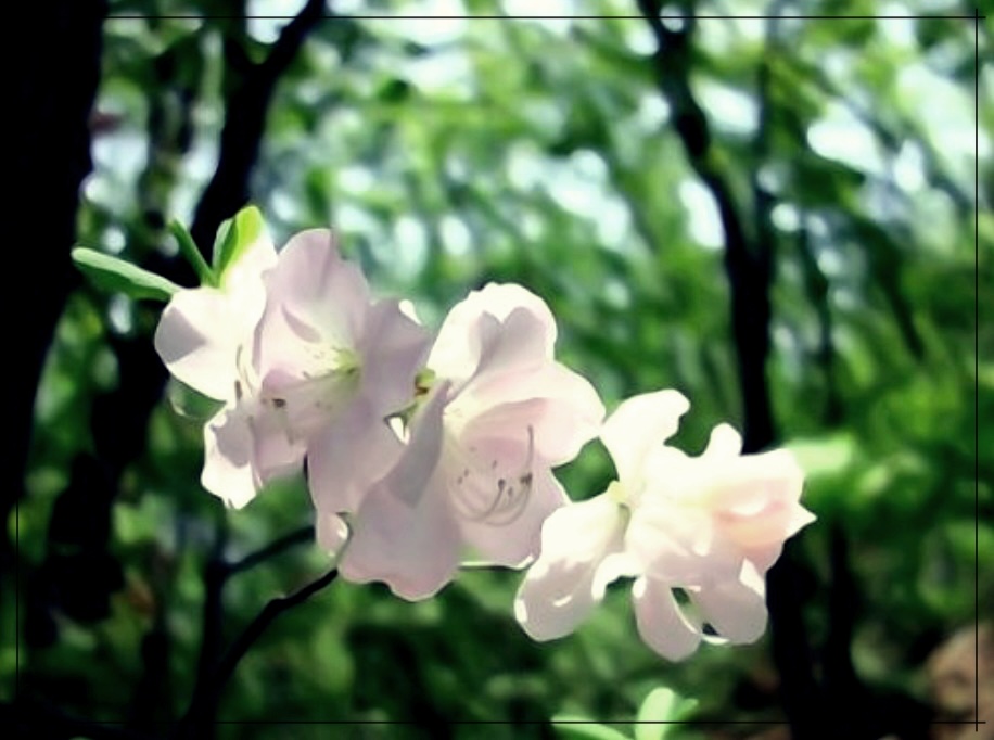 머리 부딪친 후 울퉁불퉁 생긴 혹을 빨리 없애는 방법