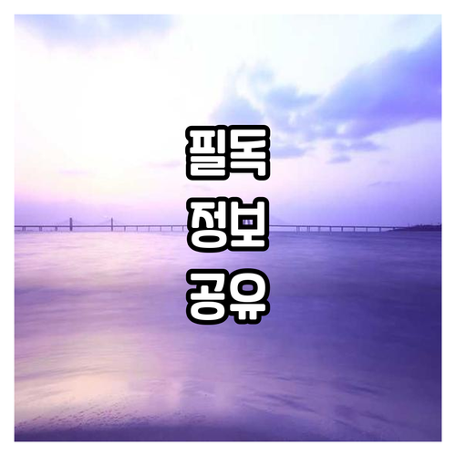하타 및 푸자이라 인근 호텔 7곳 가