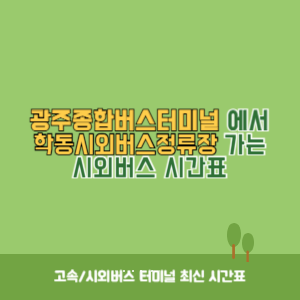 광주종합버스터미널에서 학동시외버스정류장 가는 시외버스 시간표 최신정보