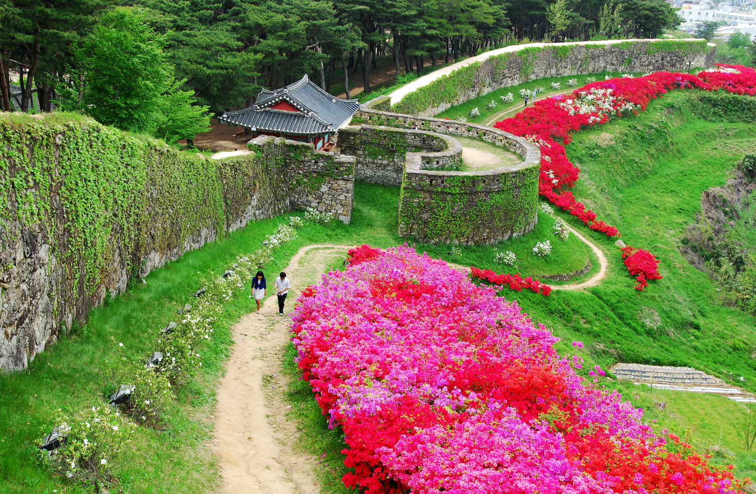 고창읍성 관련 이미지