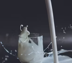 칼슘 하루 권장량 성인 1일 섭취방법