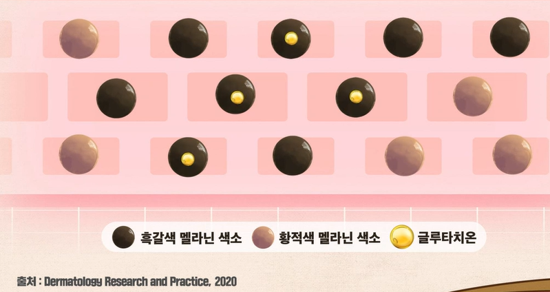 글루타치온 효능