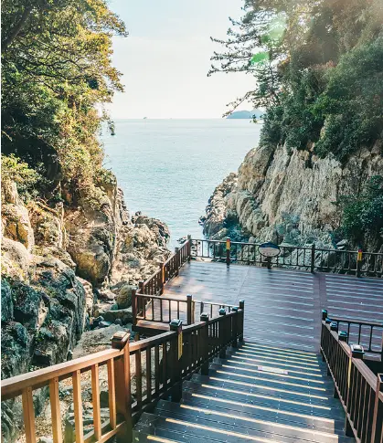 낮을 배경으로 한 오동도에 설치된 나무로 만들어진 다리와 난간