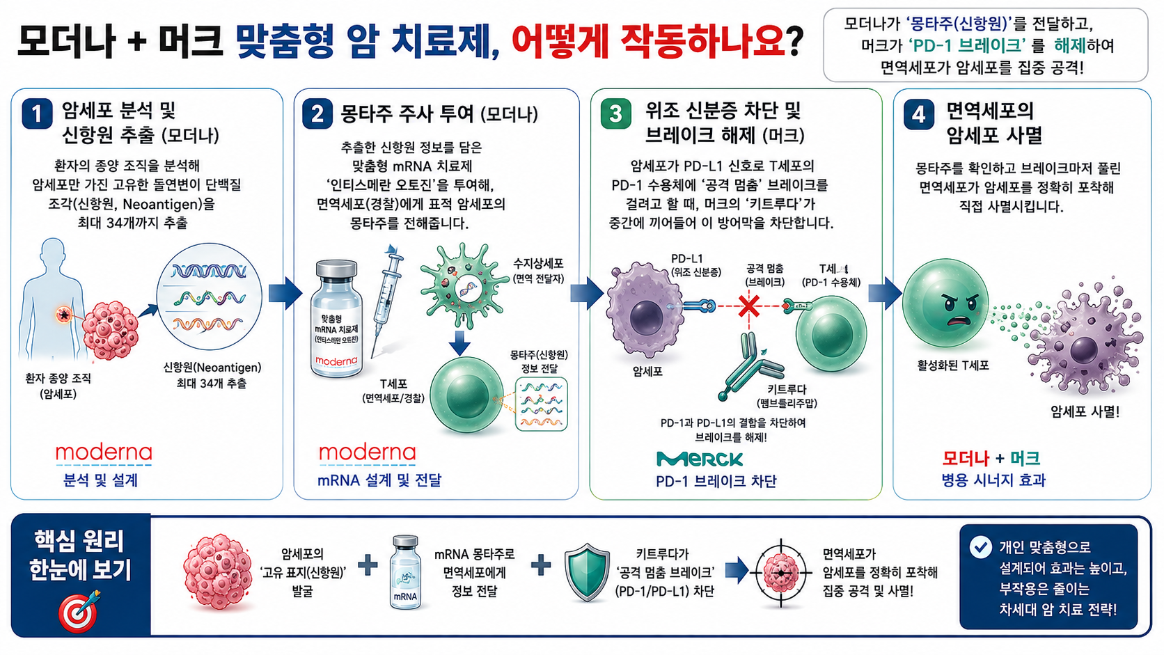모더나 3상 폭등 뒤에 숨겨진 진실: 맞춤형 암 치료제의 득실과 진짜 승자