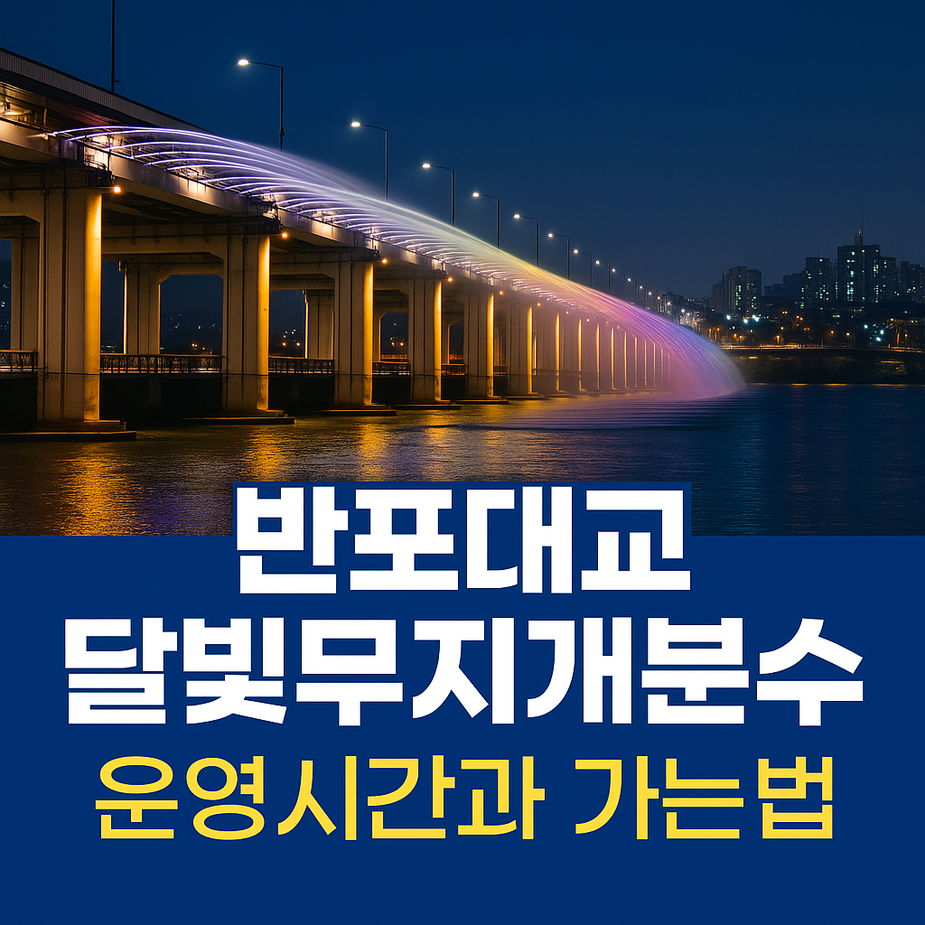 Alt 속성 문제 해결 설명 이미지