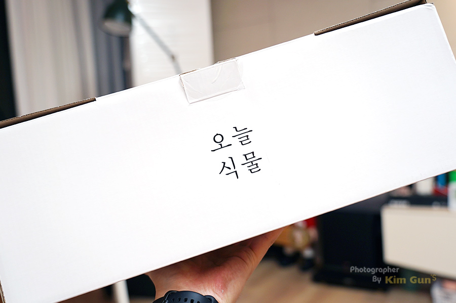 오늘식물 패키지 박스