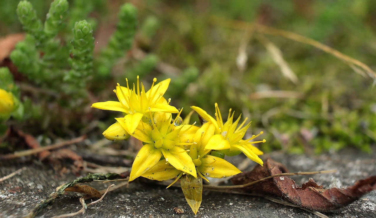작은 것들, 사소한 관련 이미지