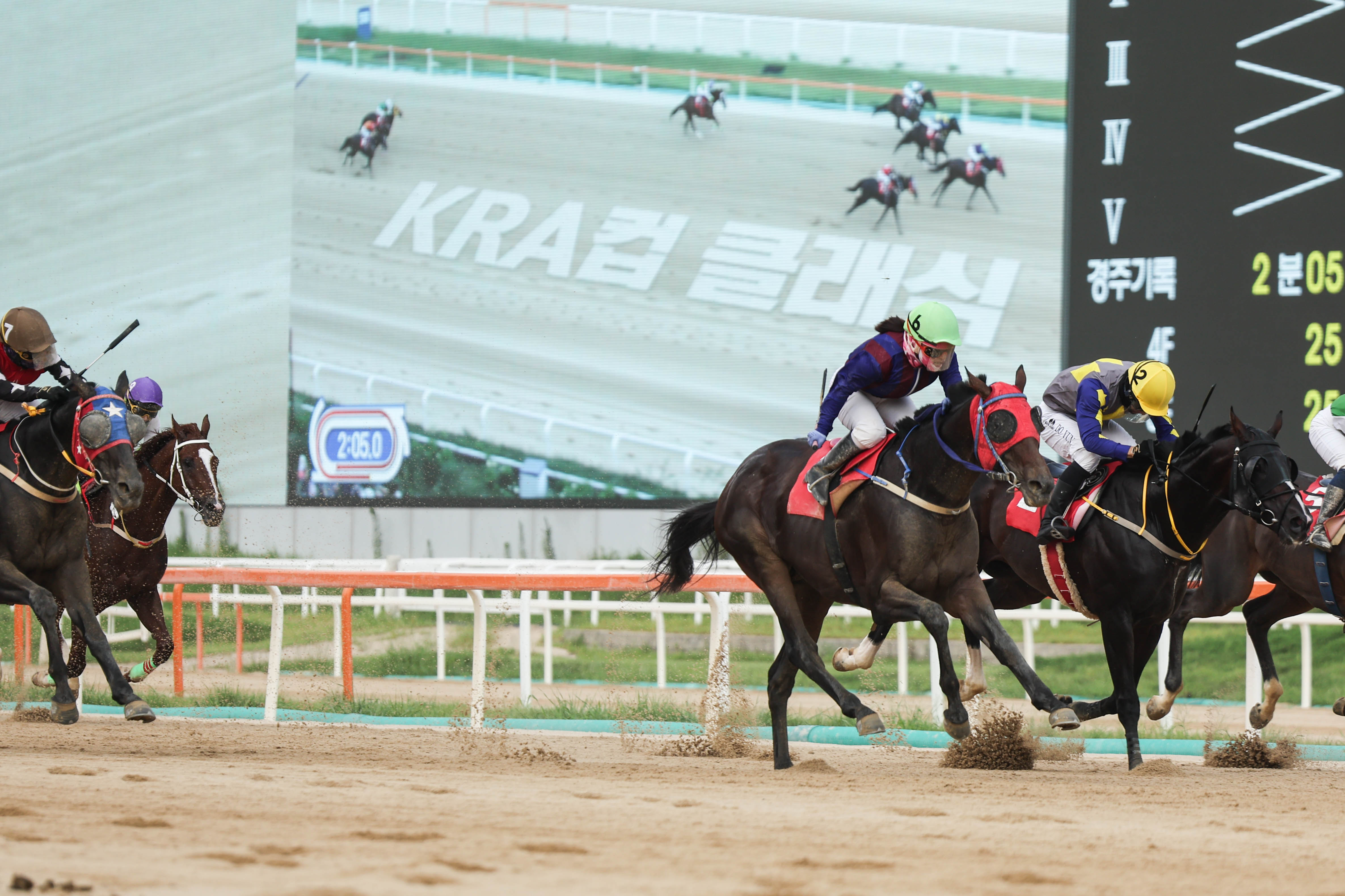 2024년도 KRA컵 클래식 대상경주 우승마 글로벌히트와 김혜선 기수의 결승성 통과 장면