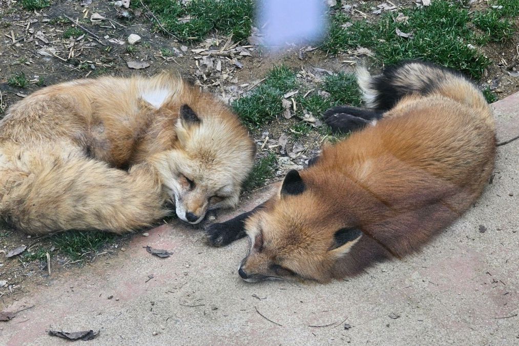 우치공원 동물원