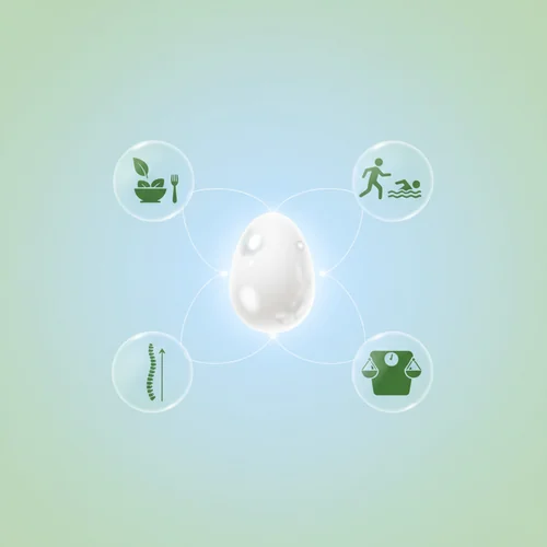 50대 관절, 현명하게 관리하는 DEM 난각막 섭취 가이드