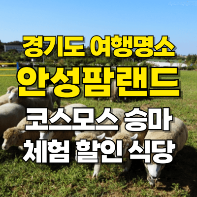 안성팜랜드 코스모스 승마 체험 공연 할인 식당 카드뉴스