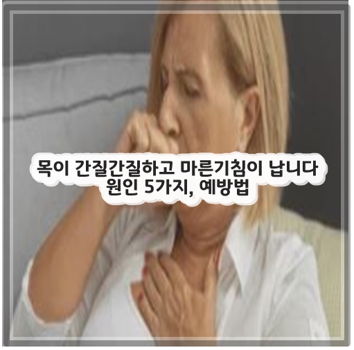 목이 간질간질하고 마른기침이 납니다 원인 5가지, 예방법