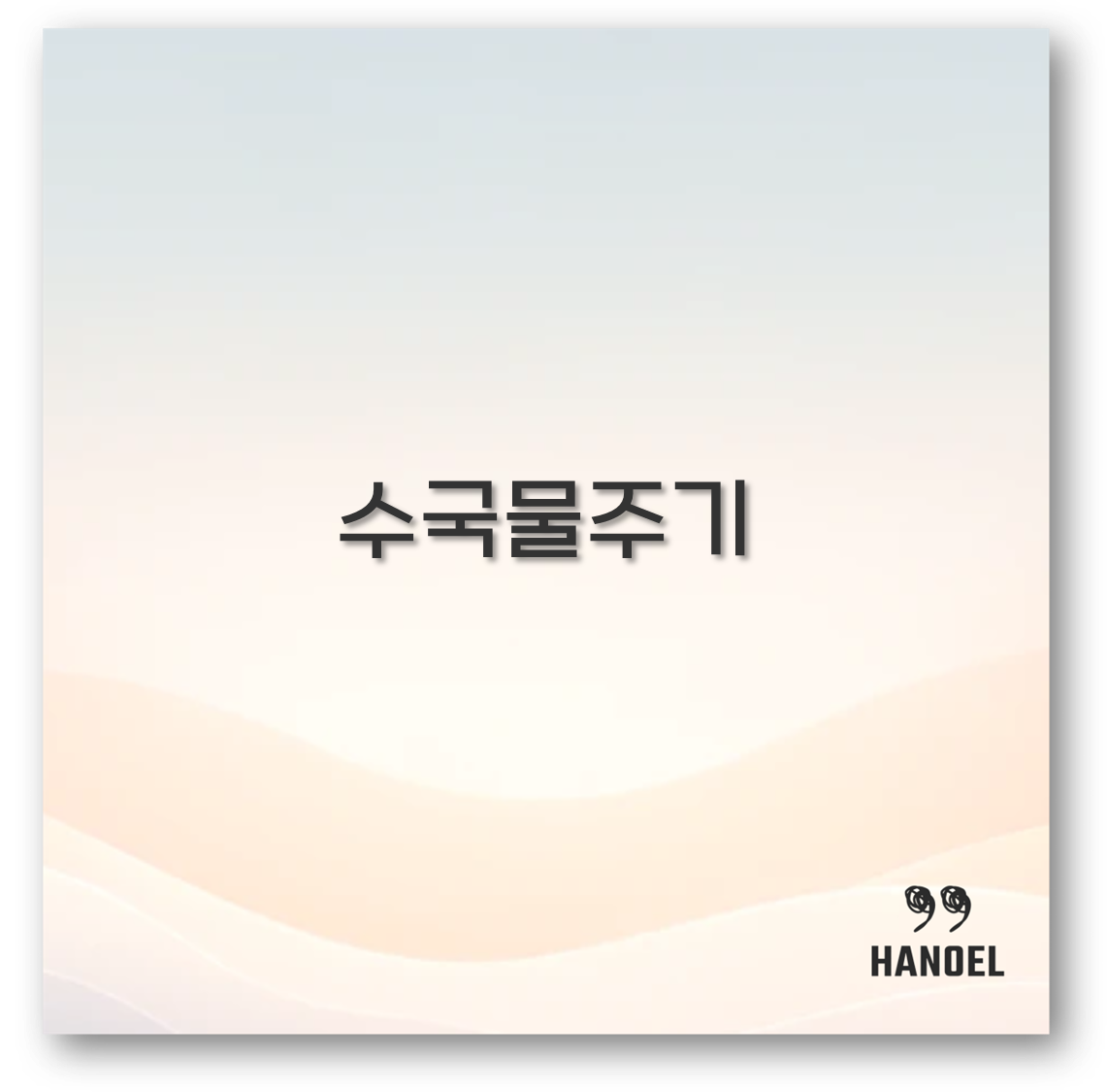 수국물주기