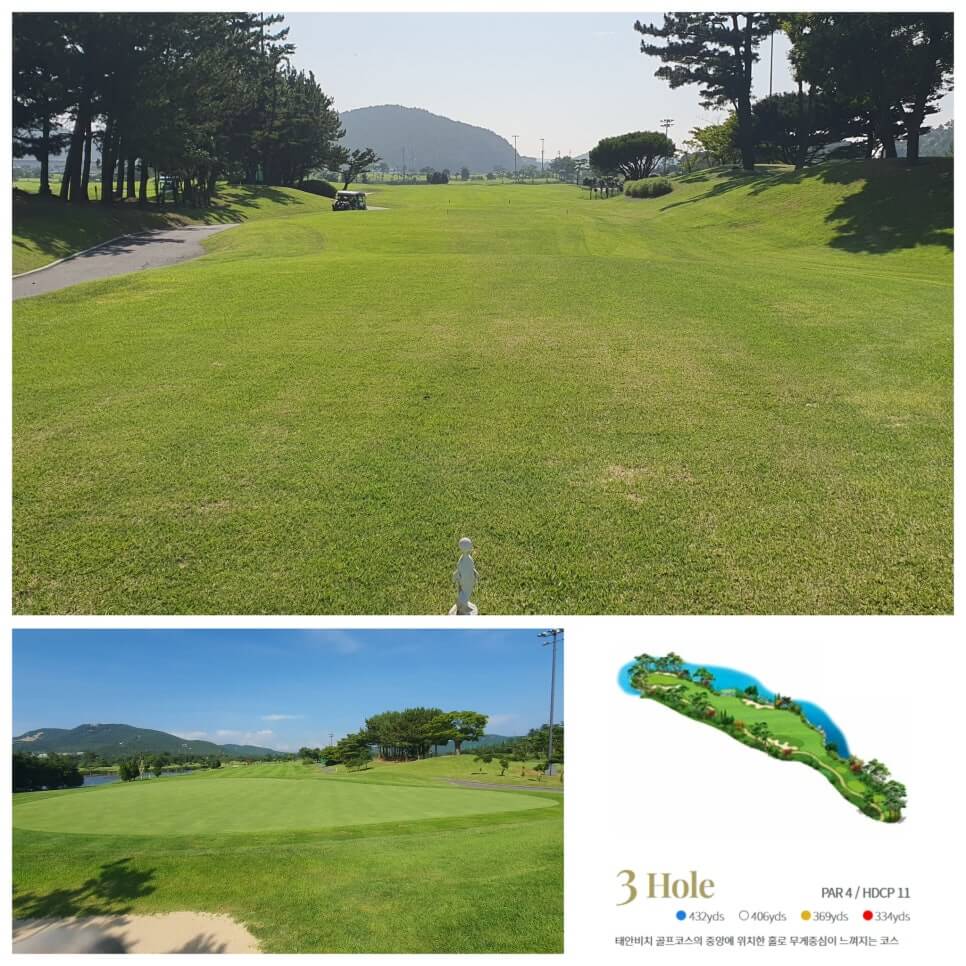 골프장 경험담 태안 스톤비치CC 완벽 가이드 서해 바다와 맞닿은 프리미엄 골프명소