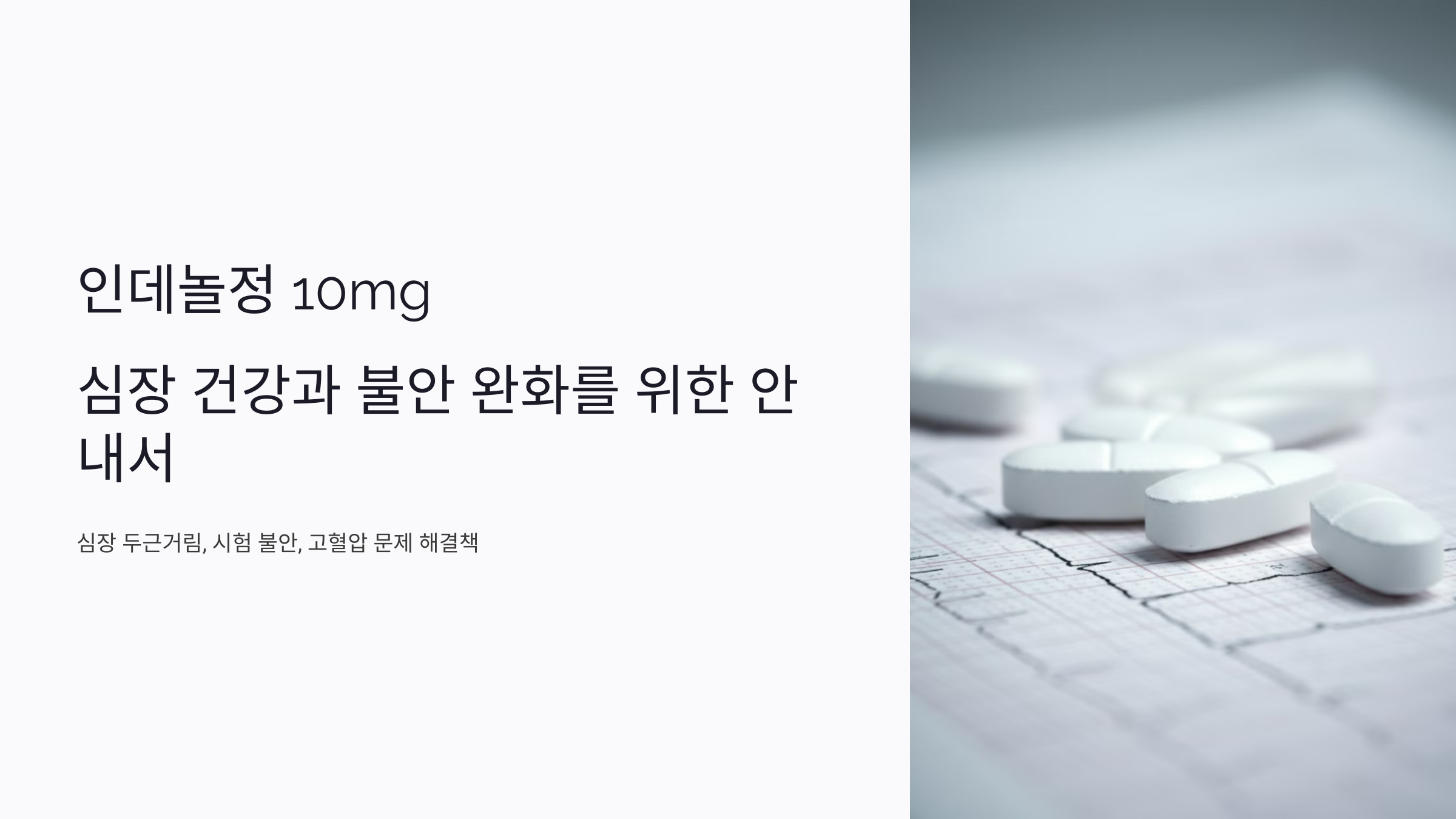 인데놀정 10mg