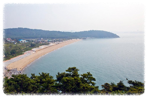 대난지도