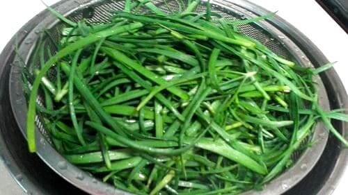 부추-손질하기-다듬기-세척하가