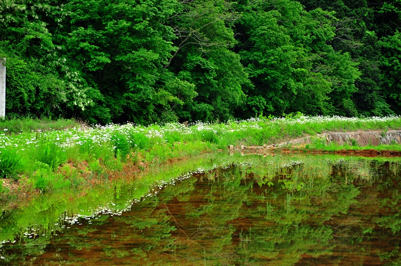 주일 대표 기도문 5월 넷째 주
