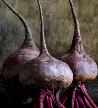 비트 효능 및 부작용 먹는 방법 칼로리 소변색