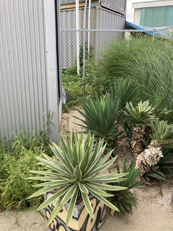 고성글라스하우스_내부