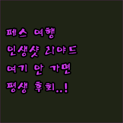 모로코 페스 여행중 인생샷 보장하는 ..