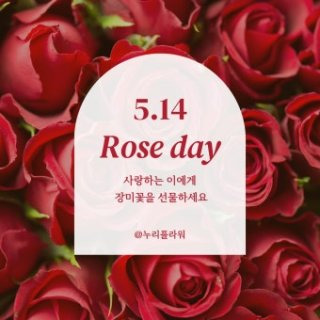 로즈데이란? 유래 5월 14일 장미 선물 이유