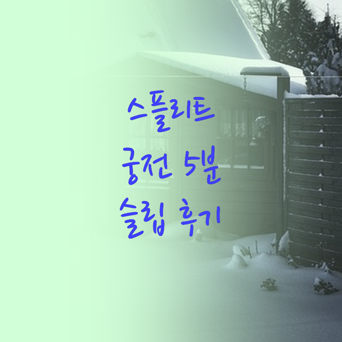 스플리트 중심 슬립 스플릿 후기 디오..