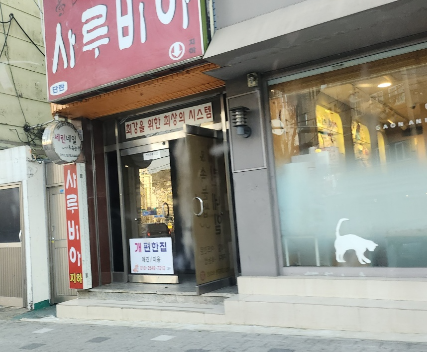 애견 미용실 개편한집