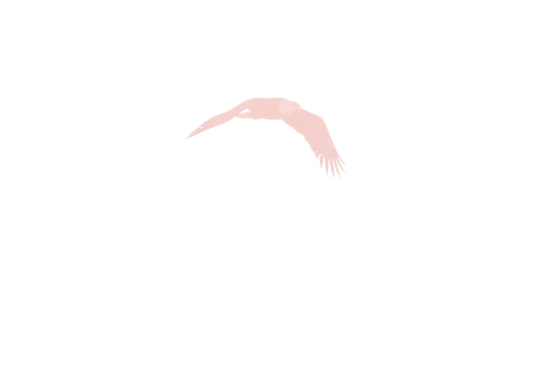 wing body