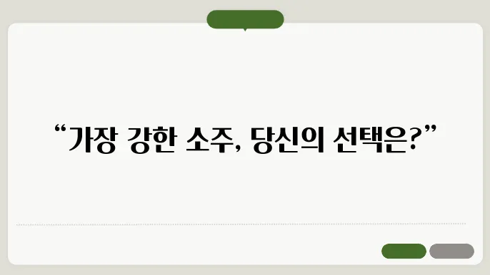 소주 돂18 소주 순위