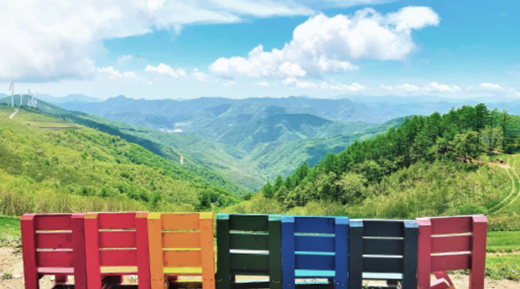 평창 육백마지기