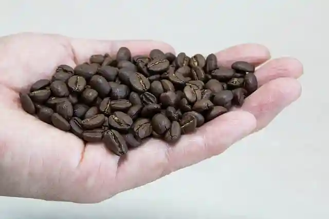 국내 바리스타 자격증&amp;#44; 국제 바리스타 자격증 비교