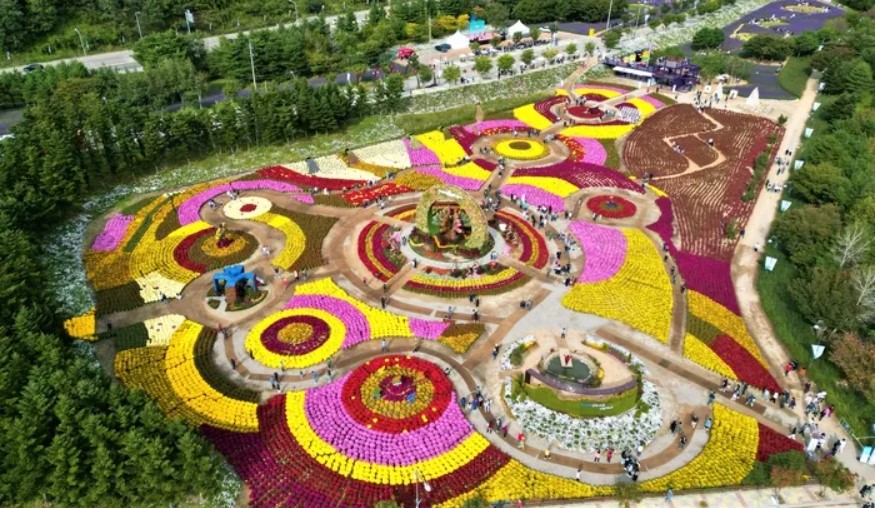 가을나들이 추천 인제가을꽃축제