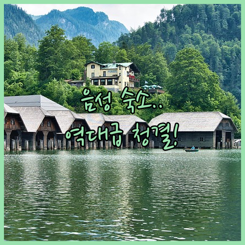 충북 음성 여행 출장 시 머물기 좋은..