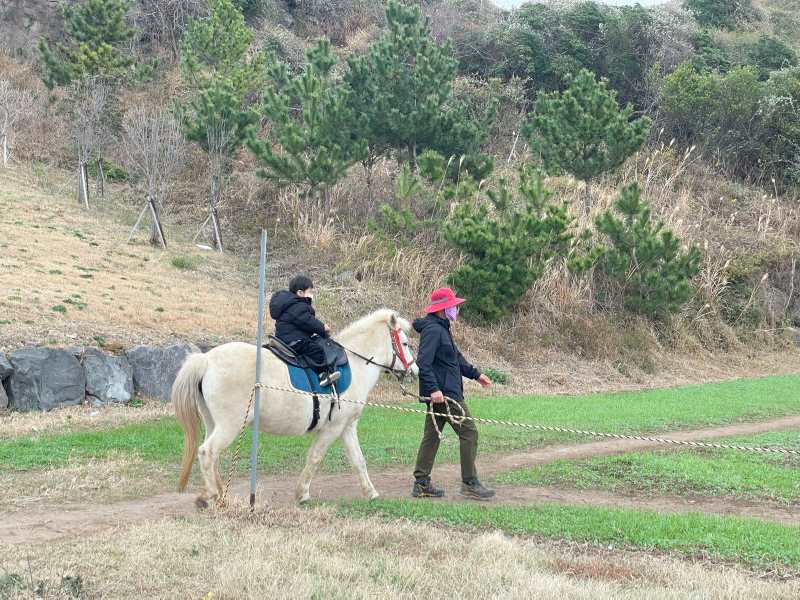제주-승마체험-산방산-승마-체험-후기