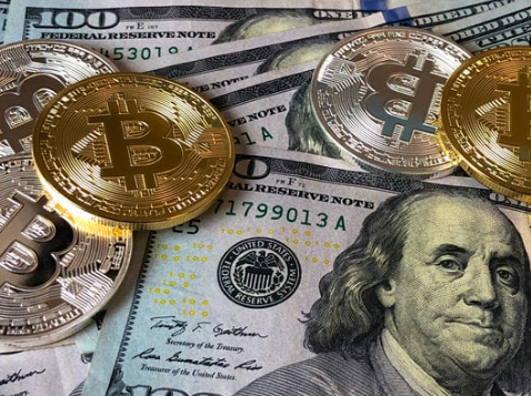 비트코인골드: 유의종목 지정 이유와 시세 전망 완벽 분석