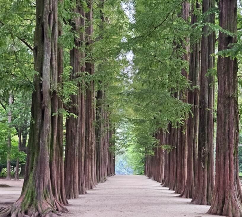 지하철 남이섬 가는 방법